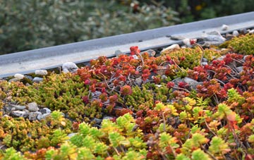 the cost of Michaelston Super Ely green roof installation