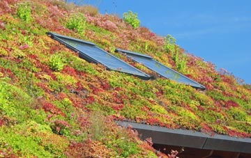 Michaelston Super Ely living roof systems